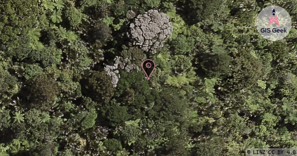 Vital Limited - Skytower Auckland aerial image