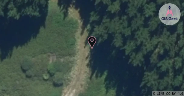One New Zealand Group Limited - Lake Rotoiti aerial image