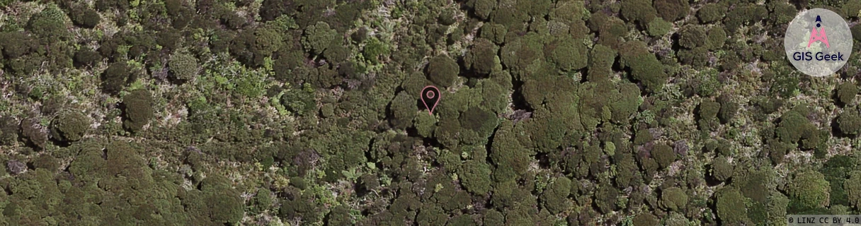 OneNZ - Piha aerial image